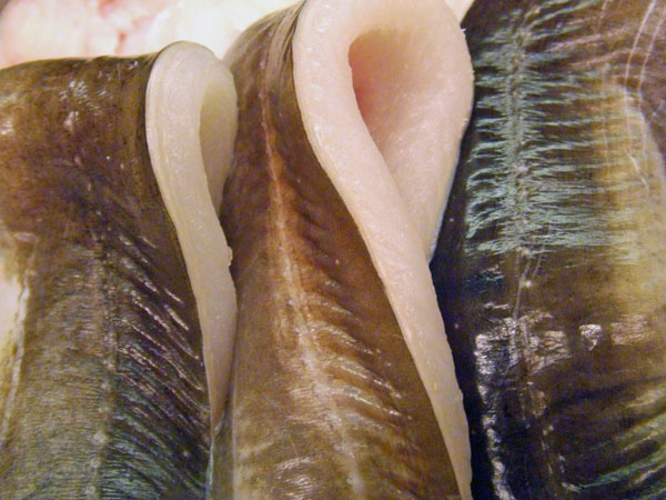 anago 004.jpg